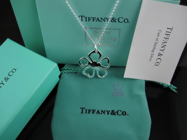 Wholesale Designer Tiffany & Co Necklace-260