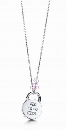 Wholesale Tiffany & Co Knock Off Jewelry Necklaces-290