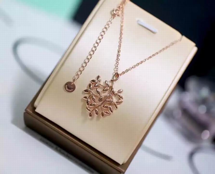 Wholesale Tiffany & Co Knock Off Jewelry Necklaces-369