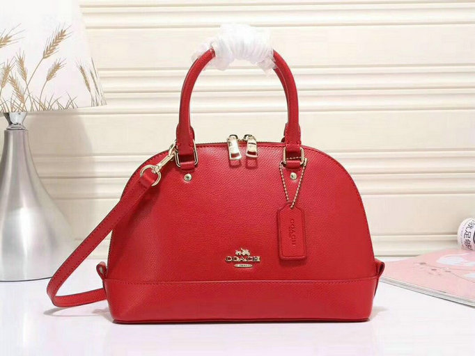 Wholesale Aaa Quality Replica Coach Handbags for Sale-030