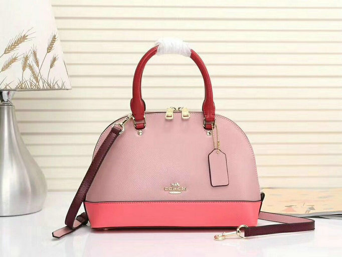 Wholesale Aaa Quality Replica Coach Handbags for Sale-031
