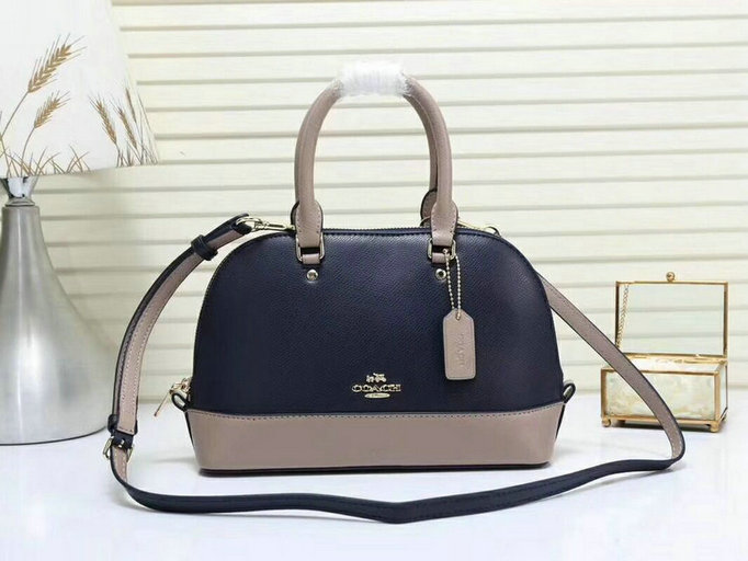 Wholesale Aaa Quality Replica Coach Handbags for Sale-032