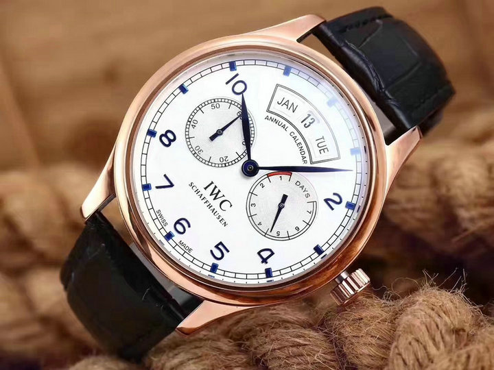 Wholesale IWC Swiss Luxury Watches for Sale-047