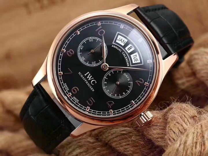 Wholesale IWC Swiss Luxury Watches for Sale-048
