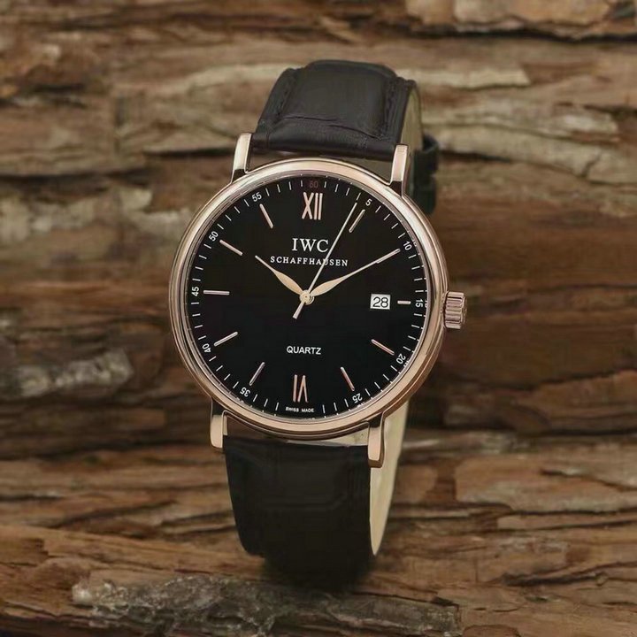 Wholesale IWC Swiss Luxury Watches for Cheap-069