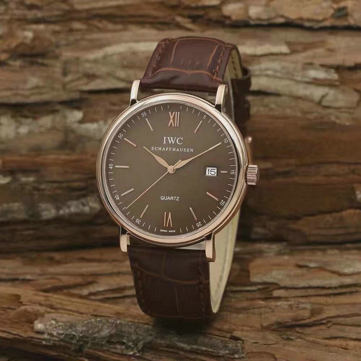 Wholesale IWC Swiss Luxury Watches for Cheap-071