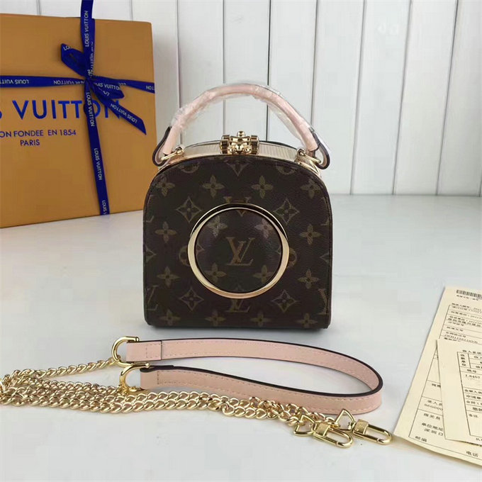 Aaa Quality Louis Vuitton Replica Handbags-226