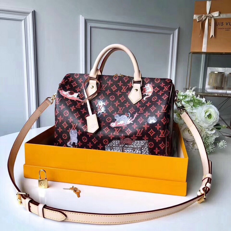 Louis Vuitton Speedy 30 Bandouliere Bags